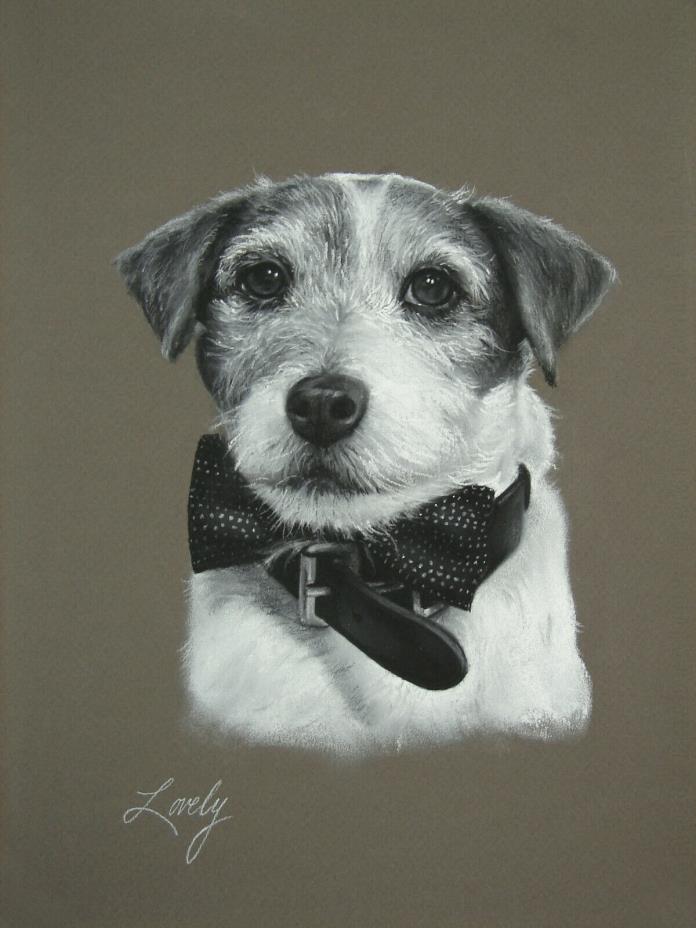 Original Jack Russell Terrier Portrait Pastel Drawing by Artist Daniel Lovely