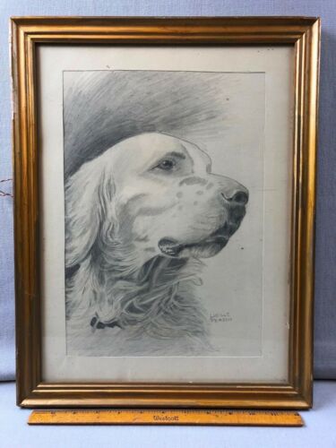 Original Pencil Sketch Art Rehoboth Artist Lucille Person Springer Spaniel Dog