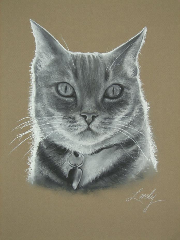 Original Tiger Cat Portrait Pastel Drawing by Artist Daniel Lovely