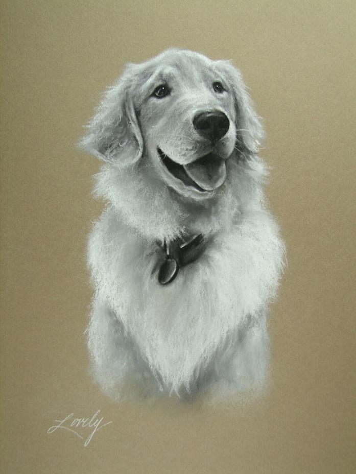 Original Golden Retriever Dog Portrait Pastel Drawing by Artist Daniel Lovely