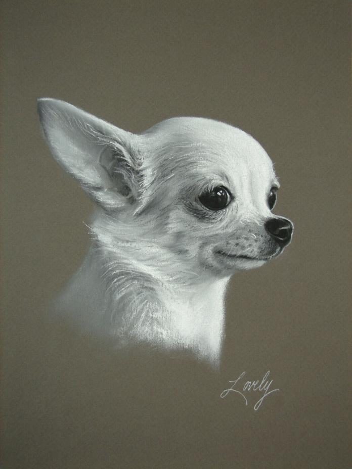Chihuahua Original Dog Portrait Pastel Drawing by Artist Daniel Lovely