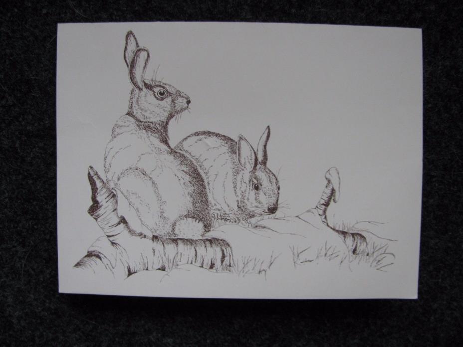 Pen & Ink stationery of small animals and water fowl