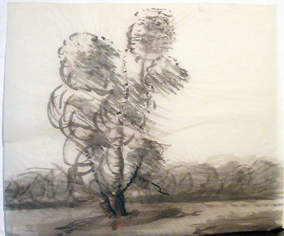 BIRCH TREE drawing by Russian artist A.M.Gromov