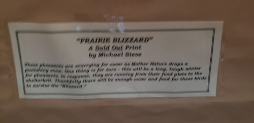 Prairie Blizzard Pheasant Picture