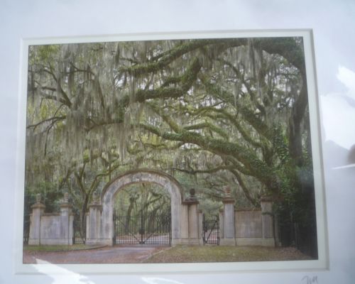 WORMSLOE GATE AND LIVE OAKS WINTHROPE HIERS 2011 ORIGINAL 8X10 PRINT SIGNED