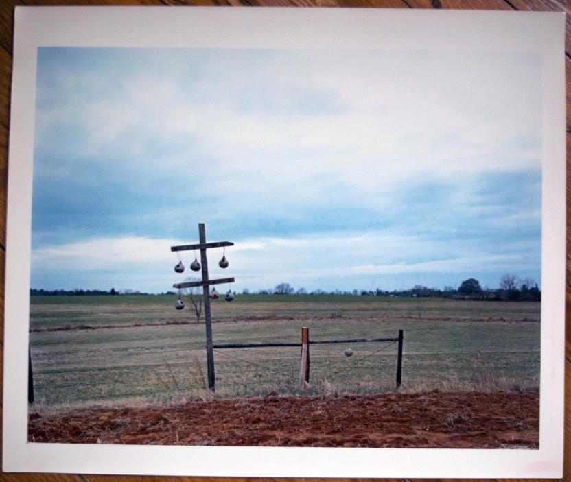 William Christenberry Ground Tree-Near Akron Alabama 1981 SIGNED Dye Transfer