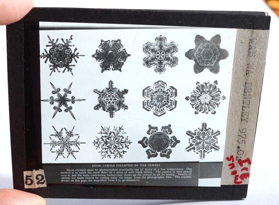 BENTLEY snowflake ICE crystals #52 (black velvet note) magic lantern GLASS SLIDE