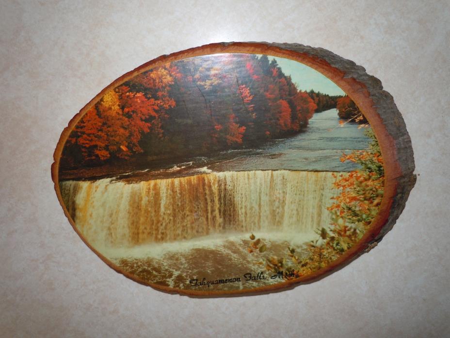 Vintage Wooden Photo Wall Hanging of Lower Tahquamenon Falls Michigan.  1950's