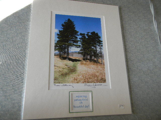 Garry Prosser OYSTER RIVER STUDIOS Photographic Print Pines & Pathways - Signed