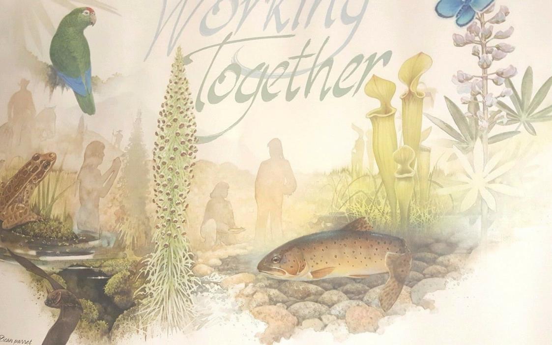 Partnerships for Endangered Species Recovery Poster US Fish & Wildlife 24