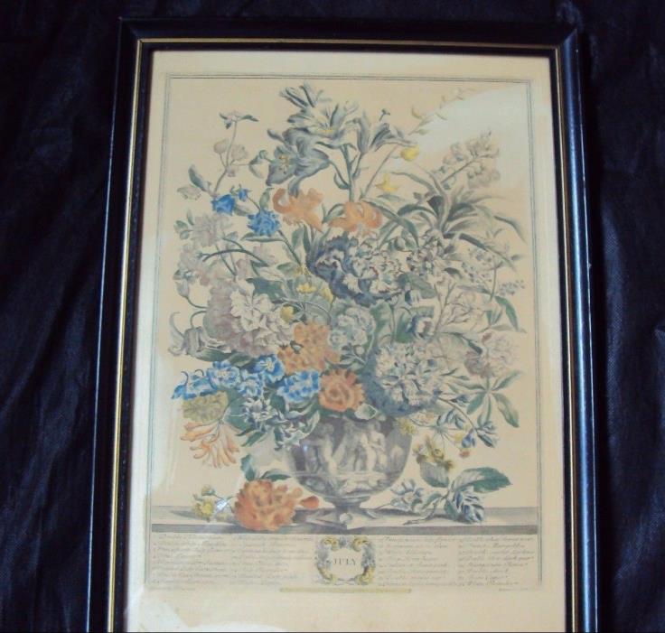 1730 TWELVE MONTHS OF FLOWERS,JULY LITHOGRAPH PLATE, BY ROBERT FURBER,GARDINER