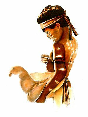 Native American Indian Boy Ceremonial Dancer Pencil Color Ink Print Reflection