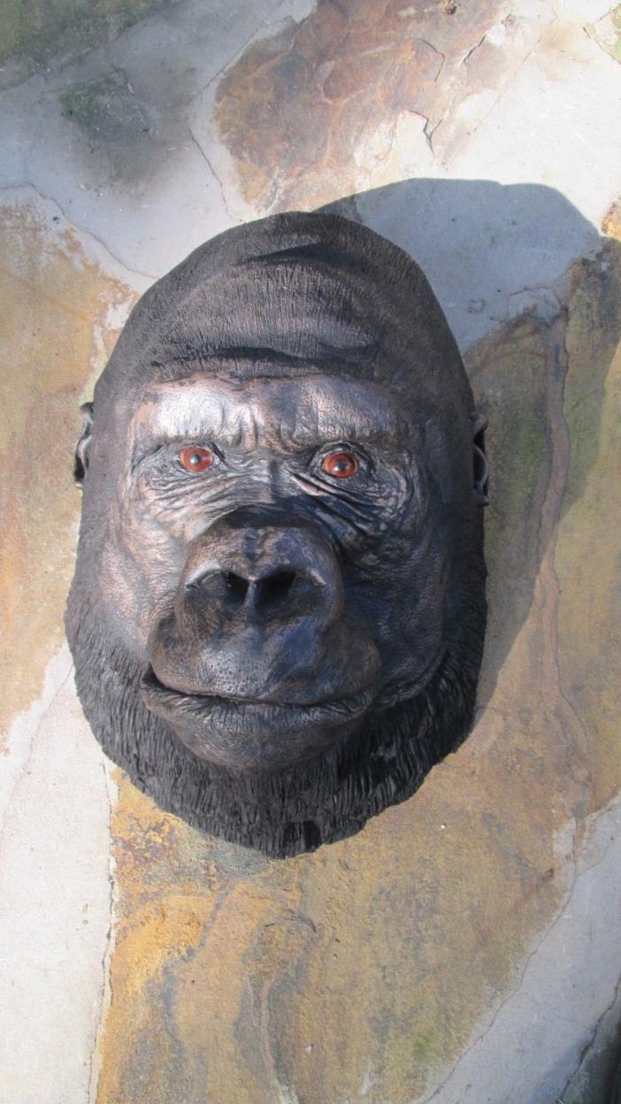 Cold cast Bronze Lowland Gorilla head by David McLary