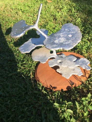 Aluminum Anthill Casting Florida Harvester Ant