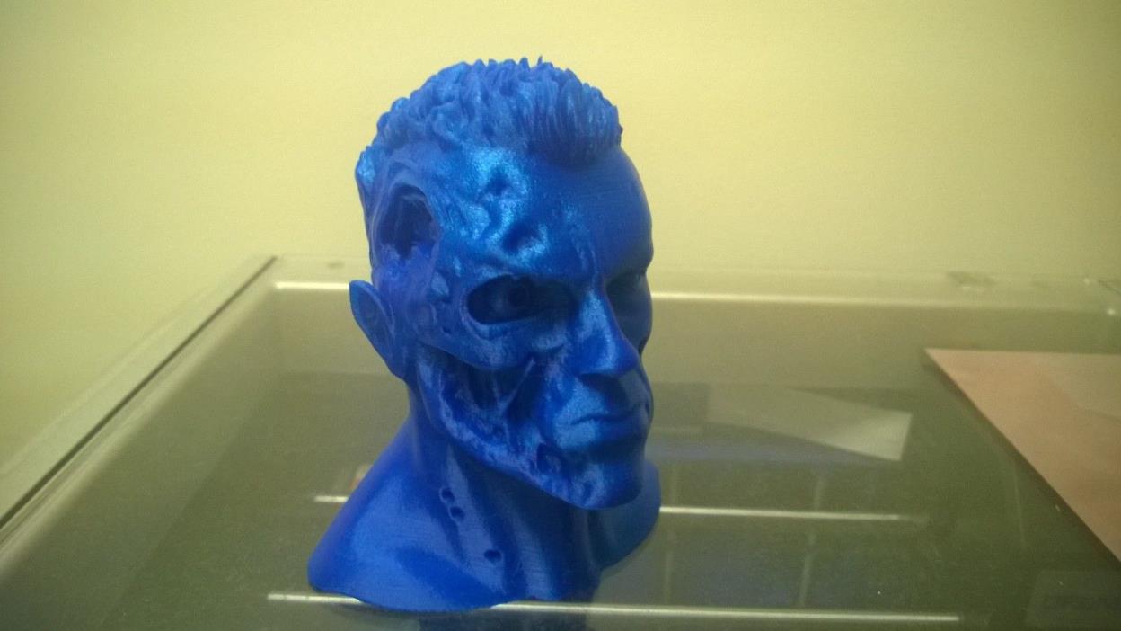 3-D Printed bust Terminator