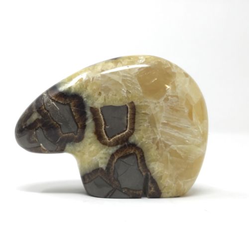 ZUNI STYLED HAND CARVED SEPTARIAN NODULE STONE BEAR SCULPTURE 4