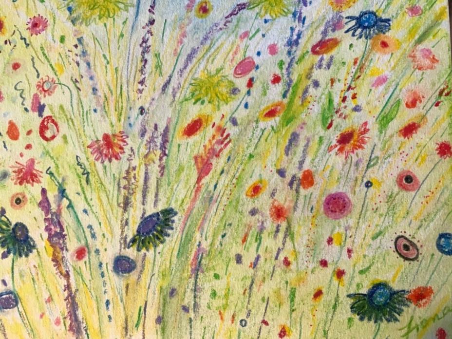 Field of Flowers original watercolour pencil drawing artist Fiona