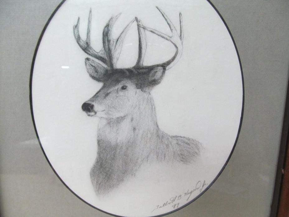 “Whitetail Deer” Charcoal Drawing Original Art Wildlife Artist Talbot Hap Hagood