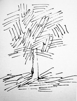 PACCIONE DRAWING OF AN INVENTIVE TREE.   FREE SHIPPING.