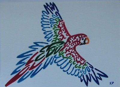 ACEO Original Art, Colorful Parrot, ink drawing, flying bird feathers tropical