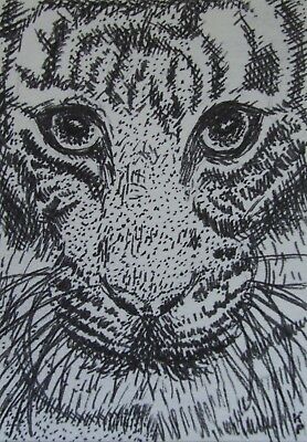 ACEO Original Art, Tiger Drawing, Ink, animal wild cat nature
