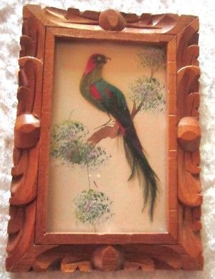 Circa '60's Actual Feathered Bird in Carved Wooden Frame