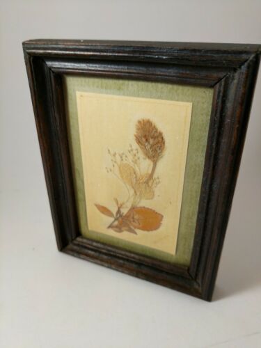 Vintage Miniature Pressed Dry Flower Art     Floral art  Framed.