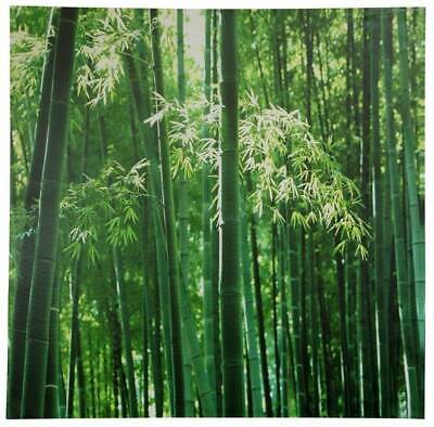 Bamboo Canvas Wall Art [ID 59744]