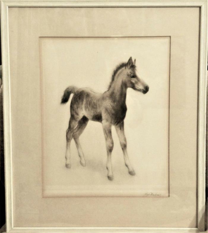 Framed Matted W/Glass Etching Of A Foal By Kurt Meyer Eberhardt Wall Hanging