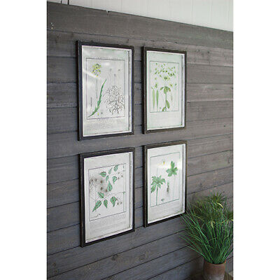 Kalalou Set of Four Framed Dandelion Prints Under Glass - CHH1219