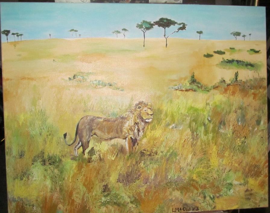 Africa Lion 