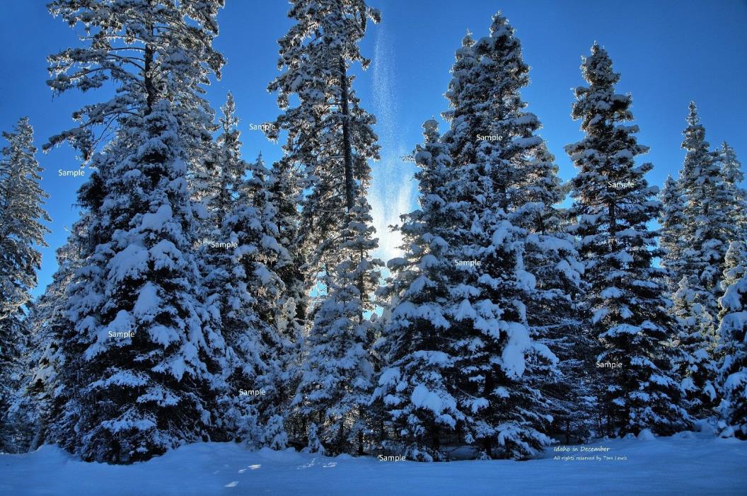 Idaho Mountains Winter Snow Scene #2 Poster Photo Print