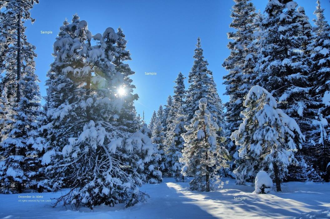 Idaho Mountains Winter Snow Scene #1 Poster Photo Print