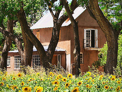 Old Adobe House, Sunflowers, Southwest, Fine Art Photo, Rustic, Home Decor