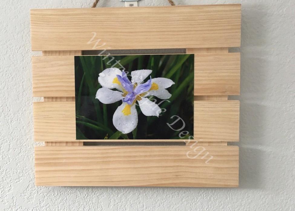 Iris Rain Spring 5x7 Photograph Matted on Wood