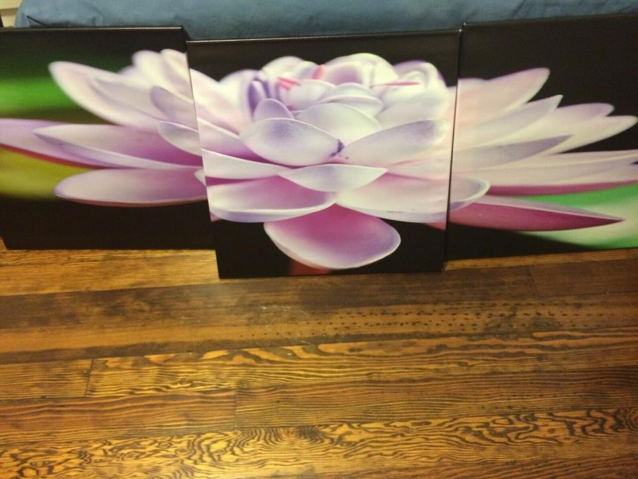 Lotus Painting Three Panel Pink Lotus; 62