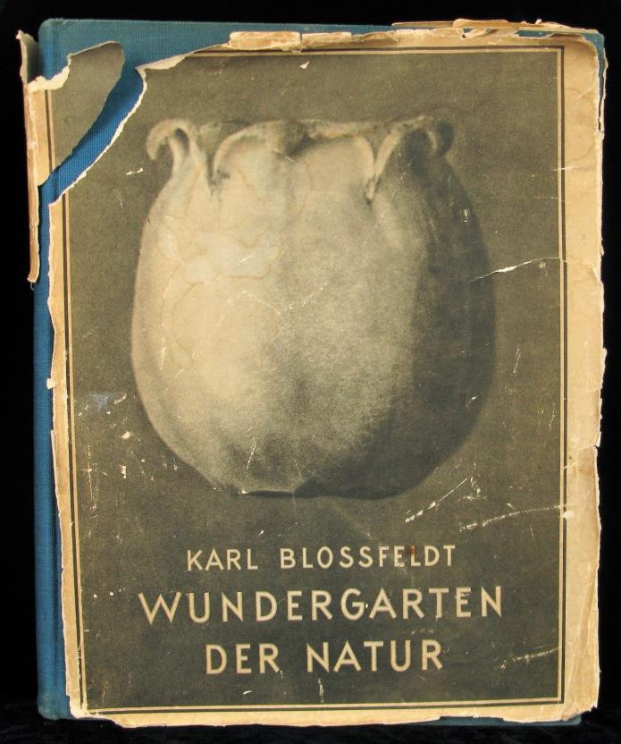 FIRST EDITION KARL BLOSSFELDT WUNDERGARTEN DER NATUR 1932 ART IN NATURE PHOTOS