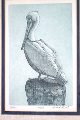 Framed Pelican Print Picture Signed by Artist (Gualo H. Lubeel?)