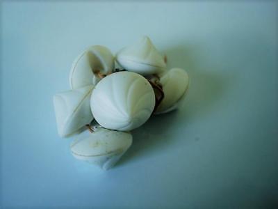7 Vintage White Glass Cone Buttons 5/8 In.