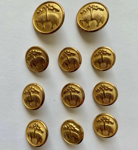 Brooks Brothers Set of 11 Replacement Buttons Gold Blazer Jacket Waterbury Sheep