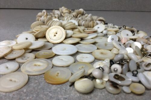 Vintage Mother of Pearl Buttons Lot Collection Shy1.5 lbs Carved Small Medium