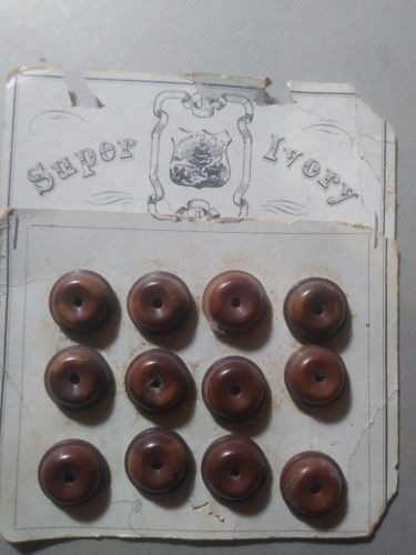 12 piece vintage Brown vegetable ivory buttons single hole new on original card