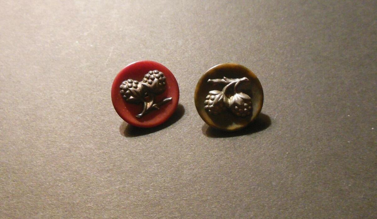 2 Vintage Natural Vegetable Ivo Button with Metal Pine Cone or Berry 3/4