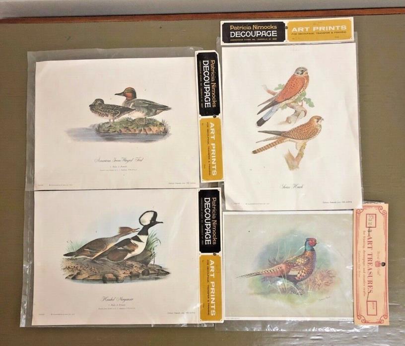 3 Patricia Nimocks Duck Birds Art Prints  Print Decoupage 1 Art Treasures Print