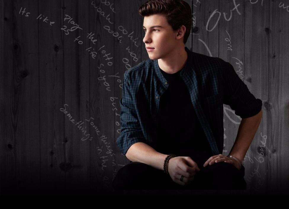 NEW,SHAWN MENDES CANVAS PRINT 11X14, AVAIL IN MANY SIZES/PICTURES  TO HUGE SZ