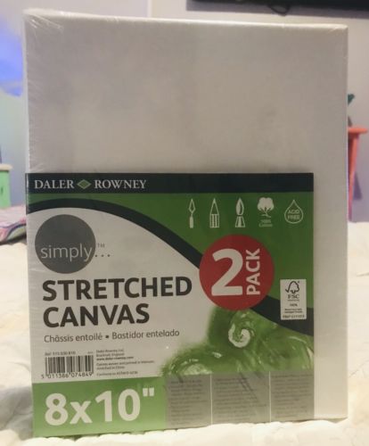 Daler Rowney Simply Stretched Canvas 8
