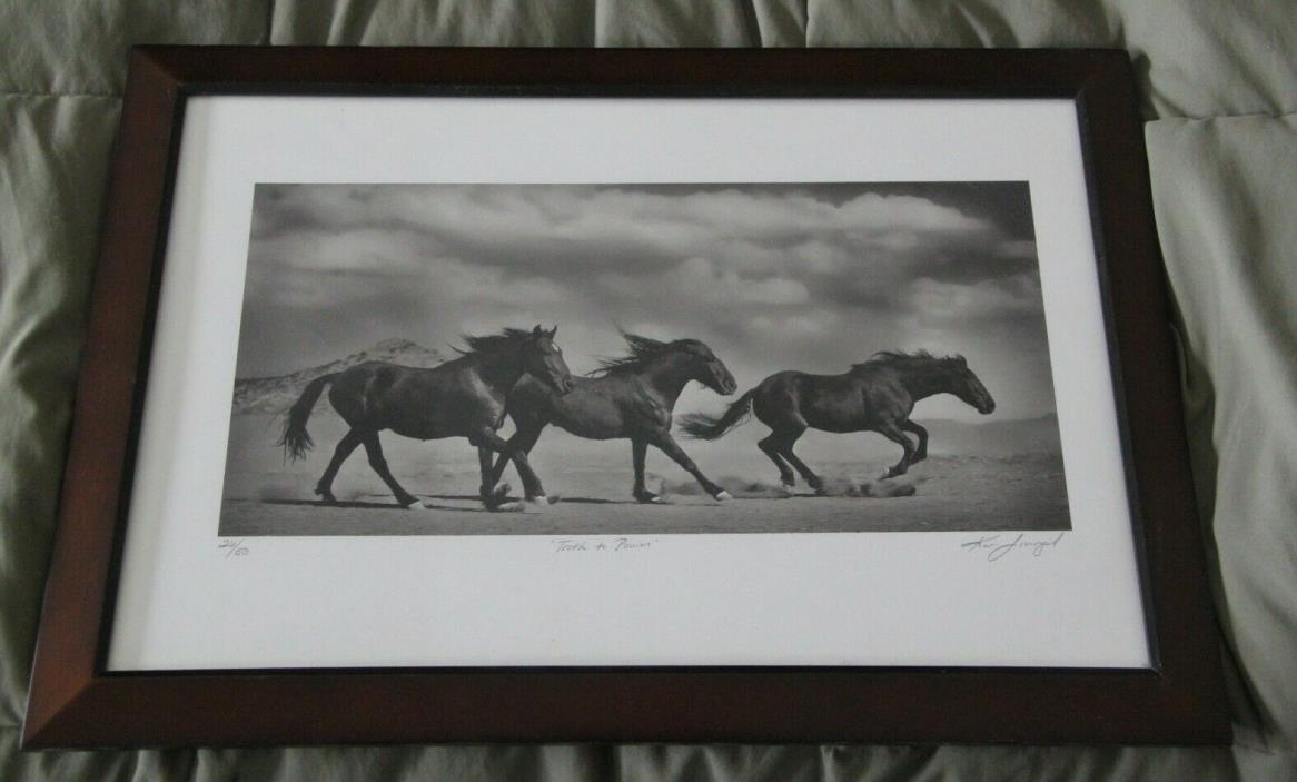 Kat Livengood Numbered 26/50 signed Horse photography 14x20 Framed Very nice