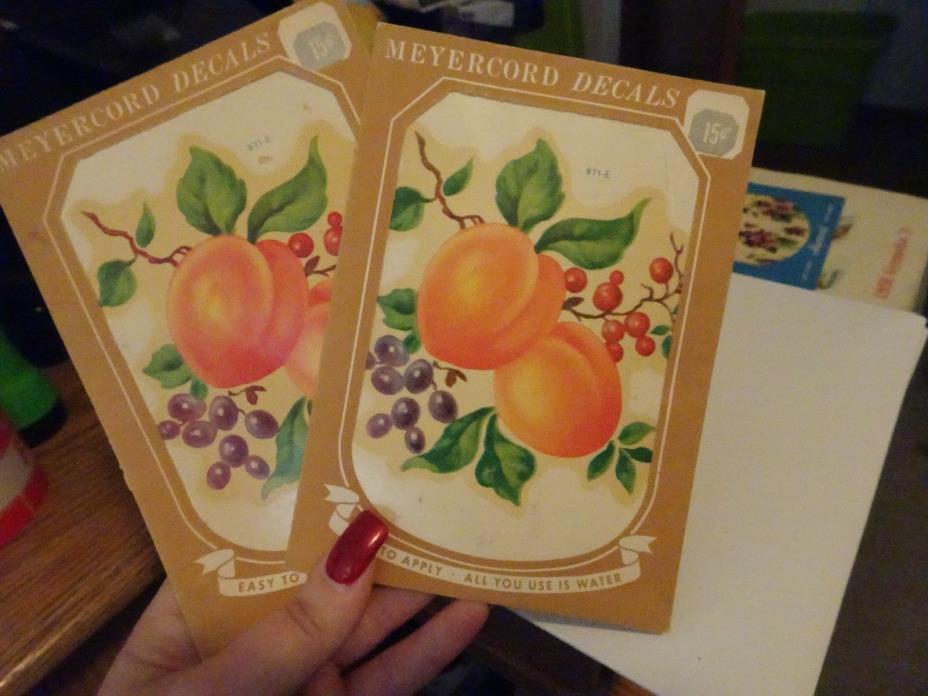 2 PACKAGES MeyerCord Decals 871-3 PEACHES