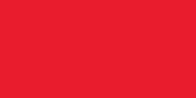 Crafter's Acrylic All-Purpose Paint 2oz Bright Red 016455545515