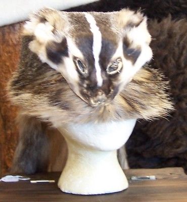 HAND MADE  BADGER HAT RENDEZVOUS BLACK POWDER MOUNTAIN MAN